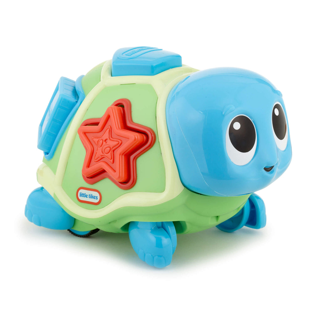 Crawl 'n Pop! Turtle